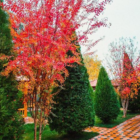 Hotel Grace Garden Kum Luaran gambar